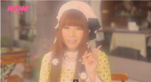 fancyhoppe2